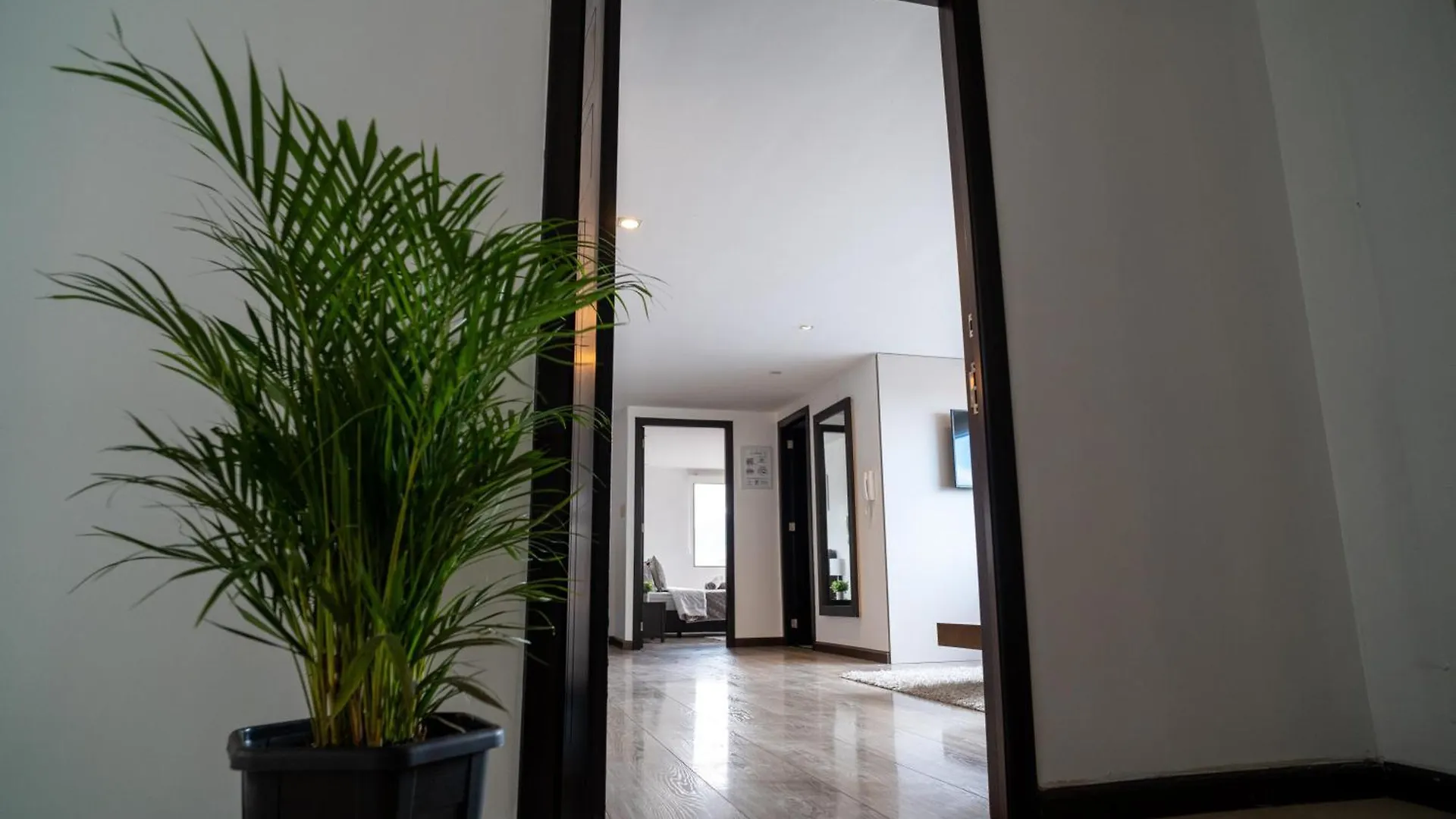 La Esmeralda 54 Cuenca Apartment